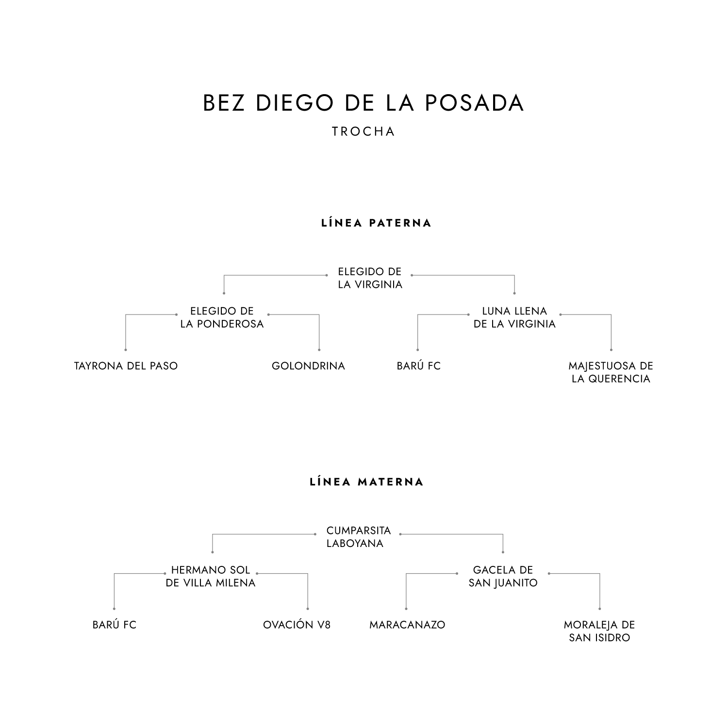 Salto Bez Diego De la Posada