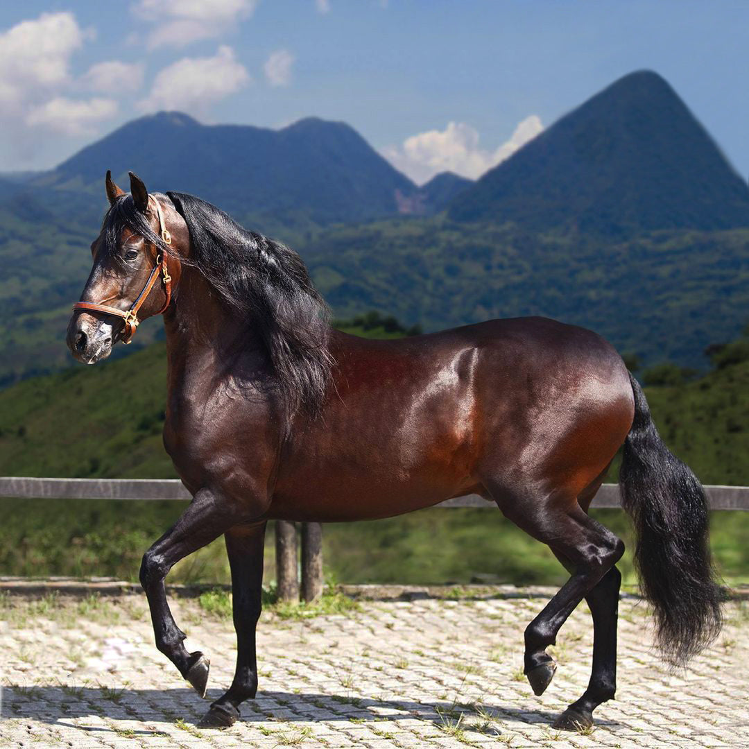 Salto Mito del Líbano VO