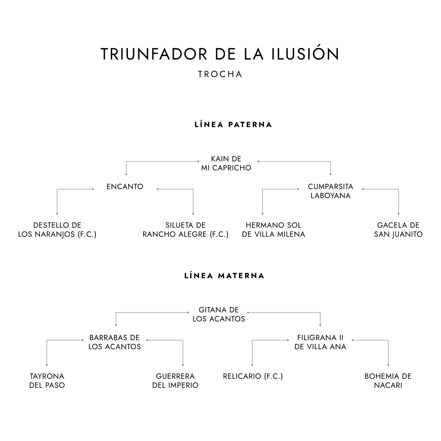 Salto Triunfador de la IIusión